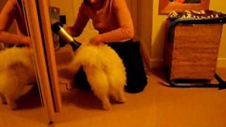 Bathnight Video 4.Avi