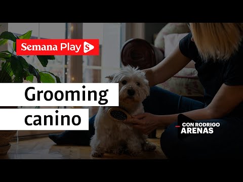 Grooming canino: como cepillar a tu perro | Rodrigo Arenas