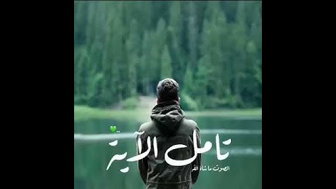 حالات واتس اب دينية || قران كريم بصوت ماهر المعيقلي || تلاوة خاشعة || مقاطع دينية قصيرة ||