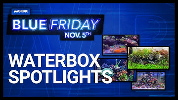 Waterbox Owner Highlights | The BEST of Freshwater and Saltwater