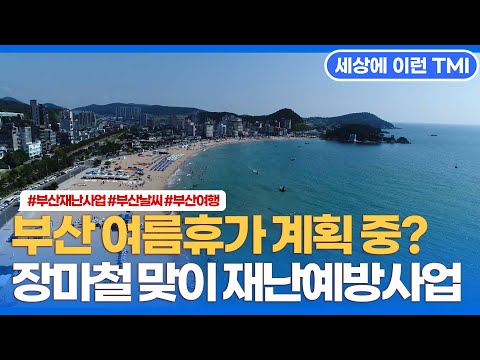 부산의 여름, 재난재해 예방사업 진행 과정을 알아보자