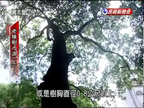 100313民視異言堂_老樟樹之淚1