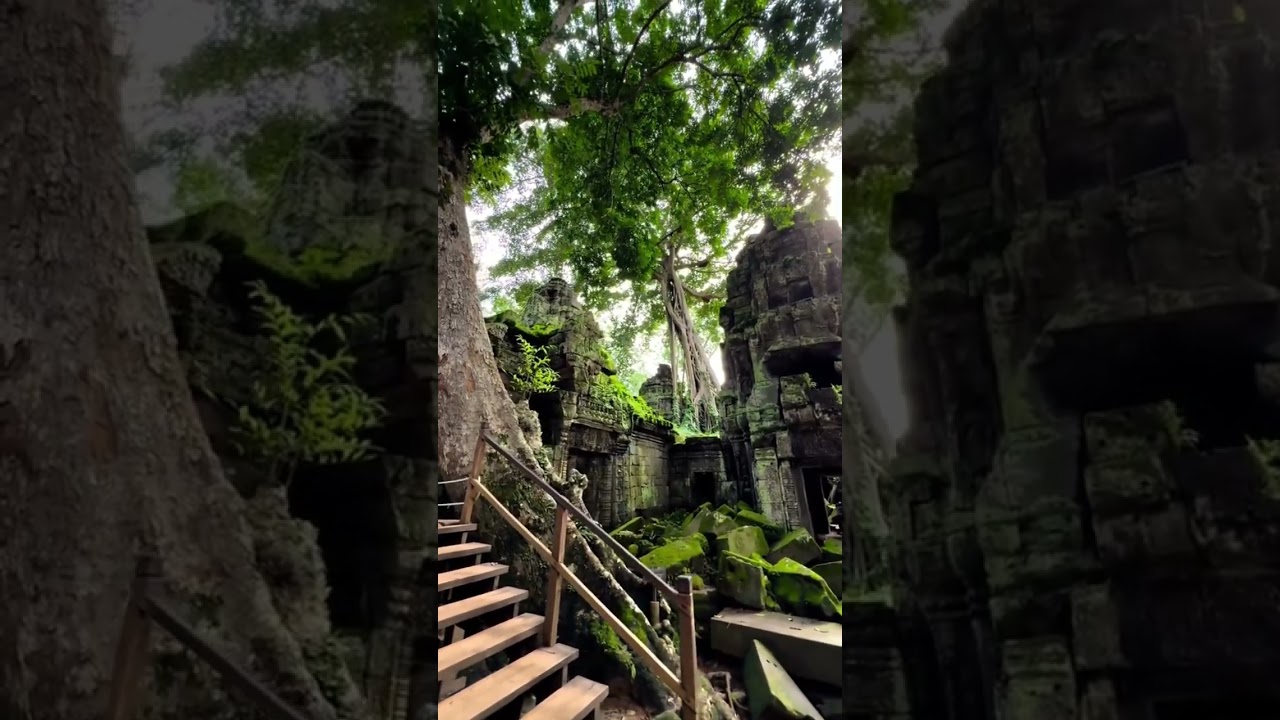 Siem Reap, Cambodia 🇰🇭 