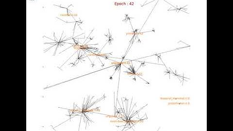 Euclidean WordNet embeddings