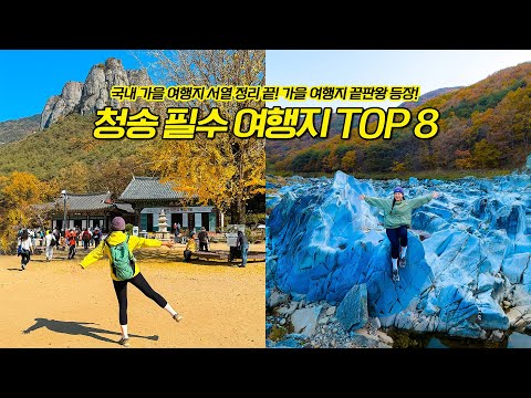 서열 정리 끝!😎 가을 여행 끝판왕 청송 여행지 8곳!🍎 (with 아싸라비아)