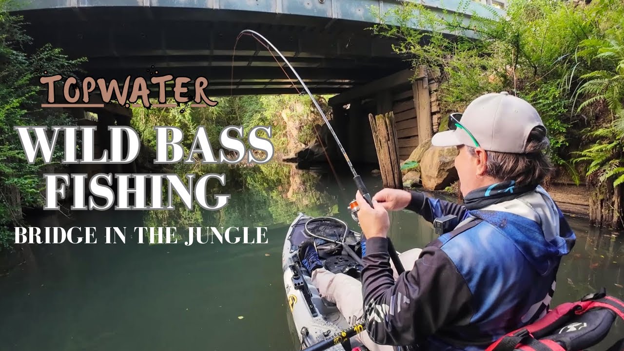 WILD BASS FISHING in SKINNY WATER.. BRIDGE IN THE JUNGLE…