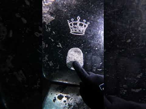 Portuguese caravel silver #DeepSeaSecrets #OceanMystery #UnderwaterDiscovery