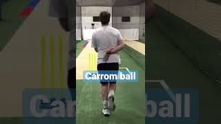 Off spinner vs Carrom ball #cricket screenshot 1