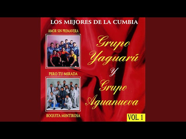 Grupo Yaguarú - Mi Consuelo