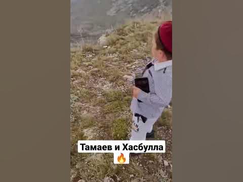 Асхаб Тамаев и Хасбулла на вертолете в горах#shorts - YouTube