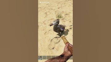 Murdering adorable dodo #ark #arksurvivalevolved #arksurvivalascended #fyp #fypシ