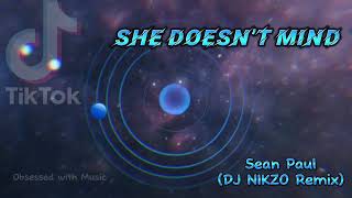 Sean Paul - She doesn’t mind - (DJ Nikzo Remix)