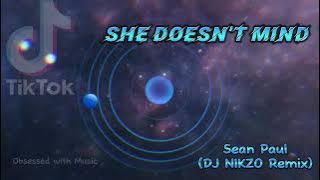 Sean Paul - She doesn’t mind - (DJ Nikzo Remix)