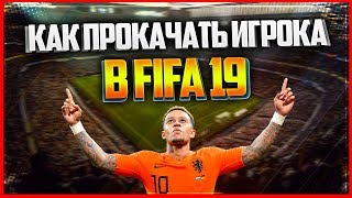 :       FIFA 19