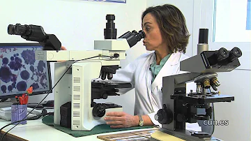 ¿Cuál es el tratamiento de primera línea para el melanoma?