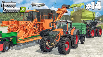 Sugarcane Harvest After Buying Our Own Sugar Mill | $0 CHALLENGE | Farming Simulator 25