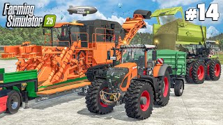 Sugarcane Harvest After Buying Our Own Sugar Mill | $0 CHALLENGE | Farming Simulator 25 screenshot 2
