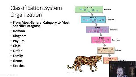 Taxonomy and Phylogenetics Lecture