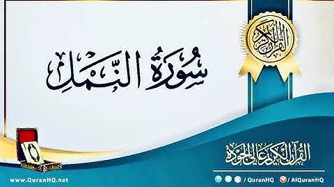 سورة النمل - بصوت القارئ / إسلام صبحي - بدون اعلانات - Islam Sobhi