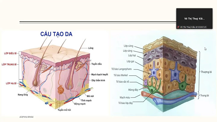 Hướng dẫn chăm sóc bệnh nhân bị bỏng năm 2024