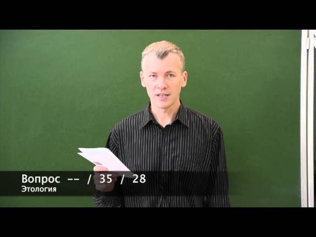все сайты интернет-олимпиад