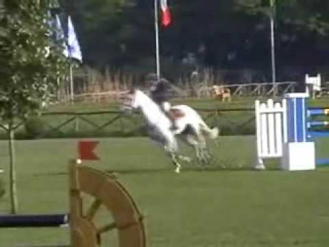 Patrik Spits met Cento Lano (Dwerse Hagen), CSI*** Lummen April 07.wmv