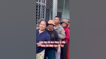 Cảnh Đẹp Bà Con Vùng Lũ Xếp Hàng Dài Nhận Gạo Hỗ Trợ #videoshort #tuthien