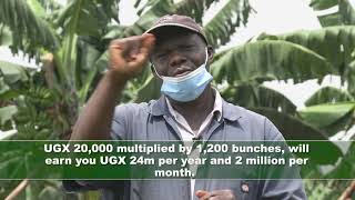 Harvest Money Expo: Washington Mugerwa, a banana farmer sharing insights on Matooke farming.