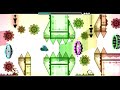 Beginning of video