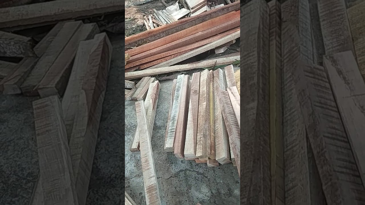Cara bikin kandang puyuh mudah 
