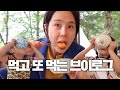 열무국수, 캠핑장에서 먹은 라면과 짜파게티, 김치프라이즈 feat.비비고김치