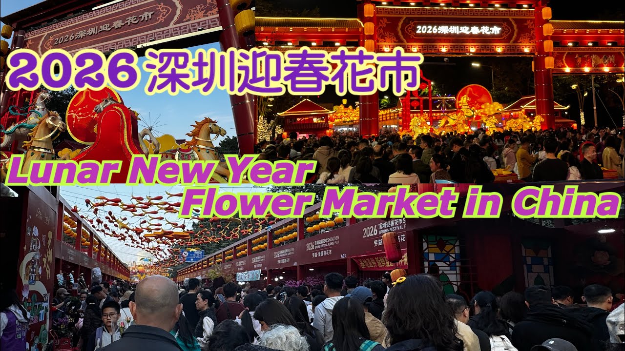 《食德走德》『2026深圳花市Flower Market』人山人海！真係好平？｜沿途遇到佢！今次一定發！｜值得去嗎？睇完先出發！