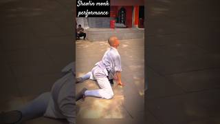 Stunning Shaolin.The precision,fluidity andfocus here is outstanding,this is shaolin skill at its b