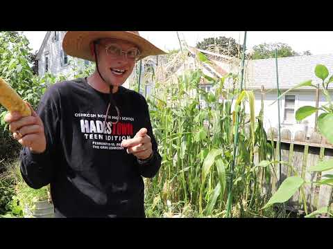Wisconsin VEGO Garden Tour - 9.1.26