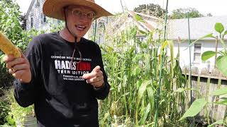 Wisconsin VEGO Garden Tour - 9.1.26