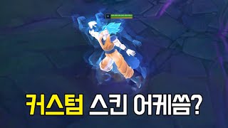 커스텀 스킨 적용 방법