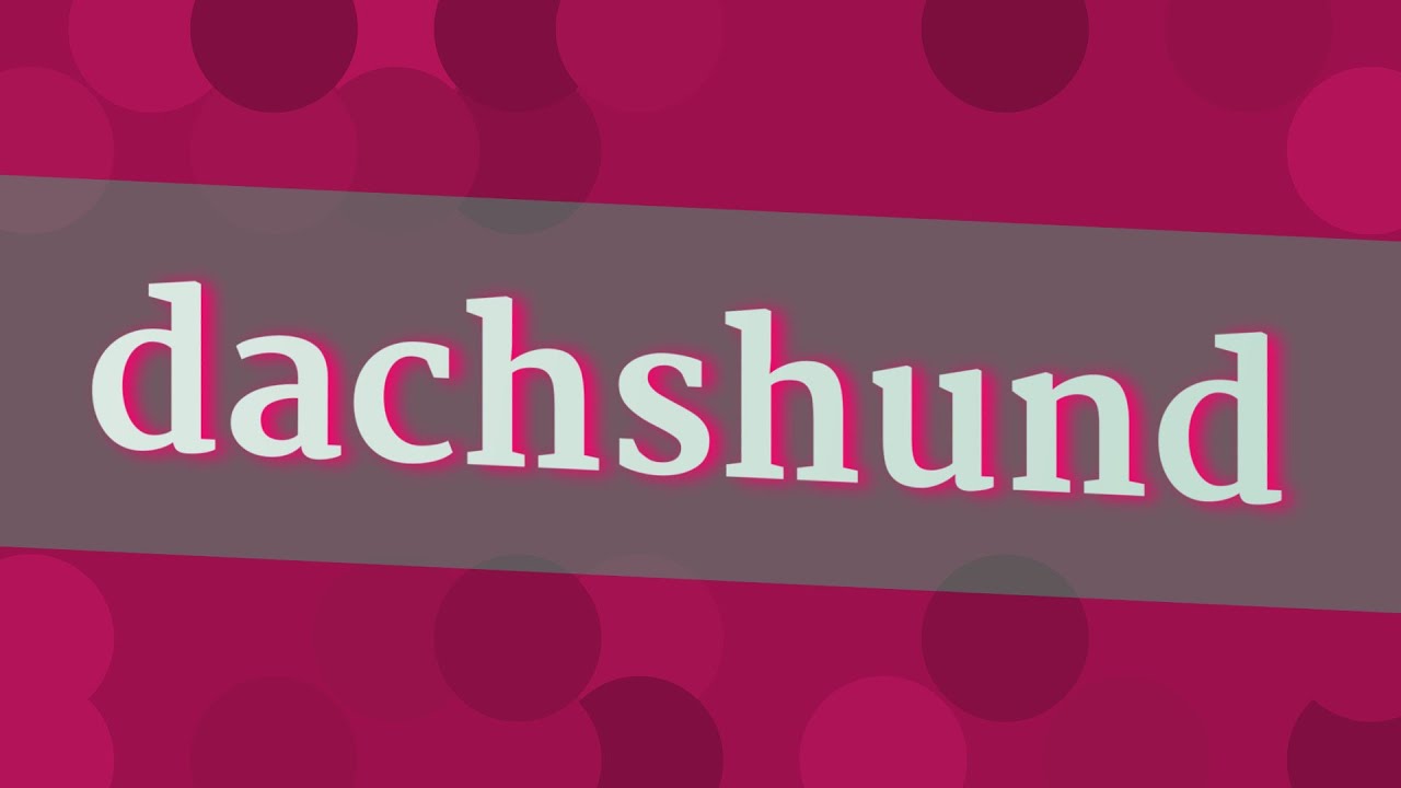 DACHSHUND pronunciation • How to pronounce DACHSHUND YouTube