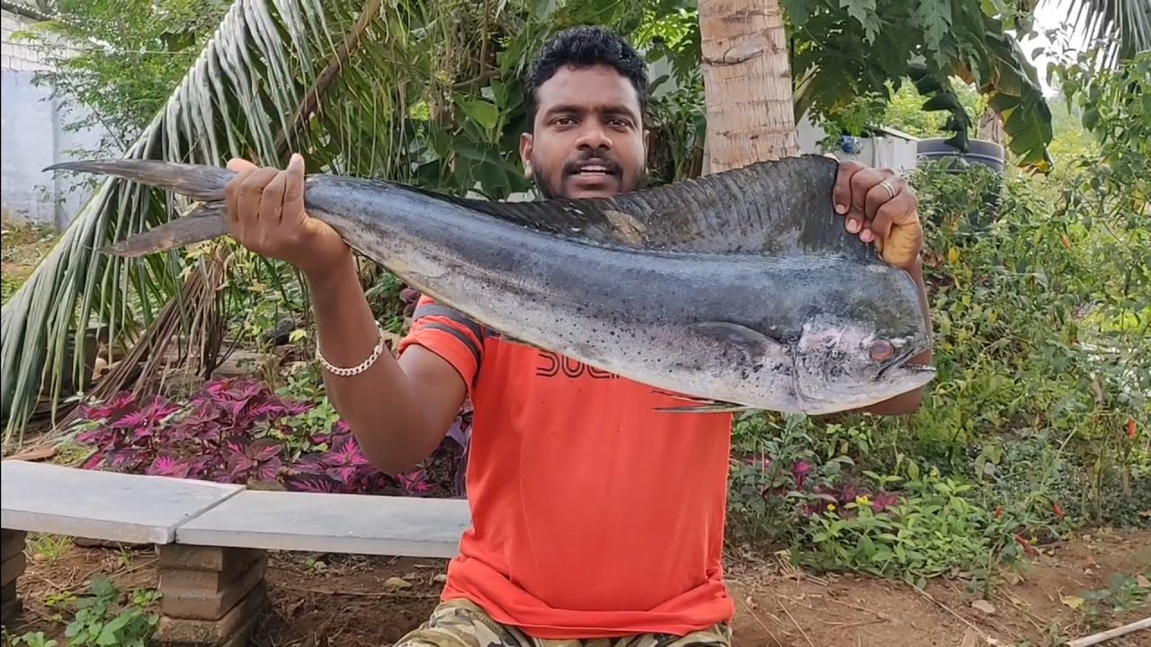 Mahi mahi fish / Parla meen / Dolphin fish cleaning and cooking tips in