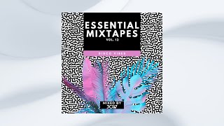 DISCO VIBES | DJ JOW (Essential Mixtape Vol. 12)