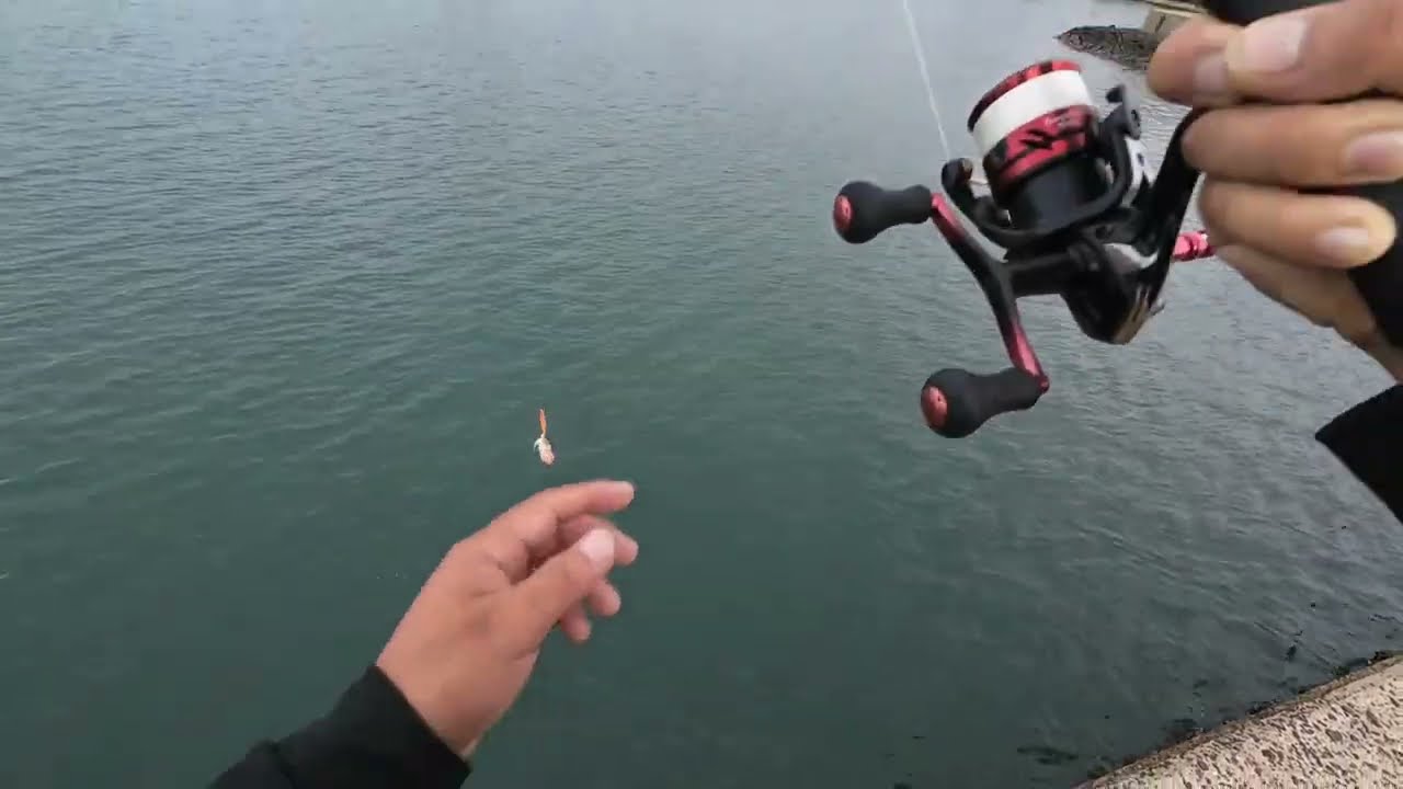 壱岐の島で1年に1度1日数時間しか見れない奇跡的瞬間に立ち会えた