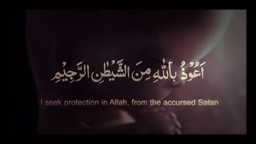 القارئ مشاري العفاسي - اطوار خلق الانسان  - من سورة المؤمنون