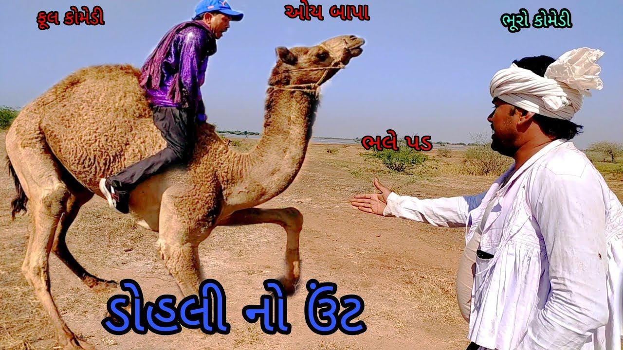 ડોહલી નો ઉંટ |bhurocomedy|gujaraticomedy|bccomedy