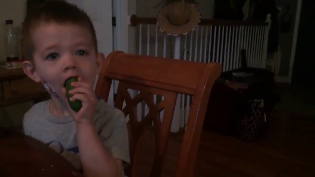 rumble video upload Alaskan Malamute obeys three year old's commands