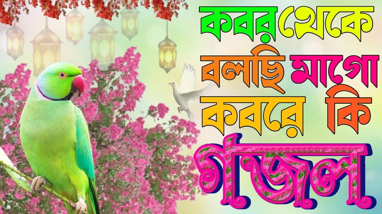 Notun bangla Romzaner gojol কবর থেকে বলছি মাগো|তুমি এই গজলটি একবার শোনো কবরের কথা সরণ হবে|gojol 2026