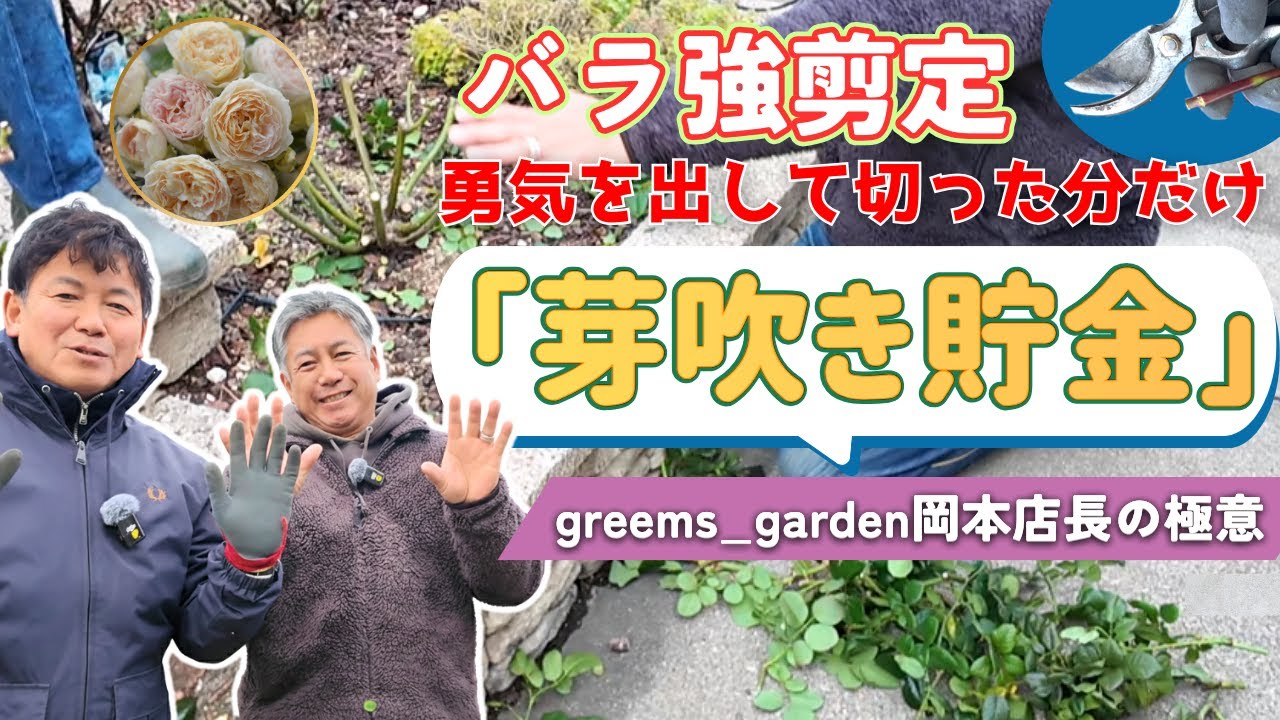 【芽吹き貯金】冬の強剪定・勇気を出して切ってみよう岡本店長の極意