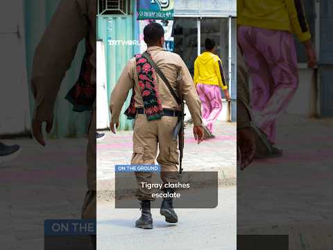 Pro-government forces seize key town in southern Tigray