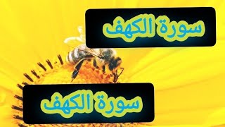 قران كريم بصوت جميل سورة الكهف جمعة مباركة