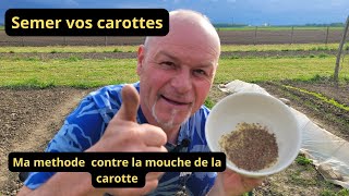 Comment semer les carottes et lutter contre la mouche des carottes