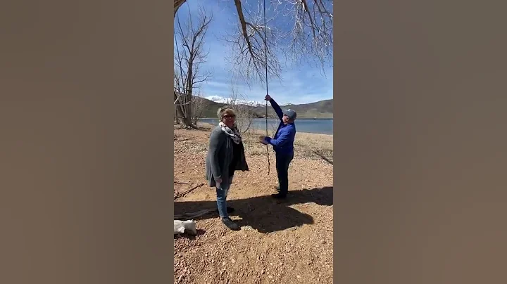 Heber City swinging