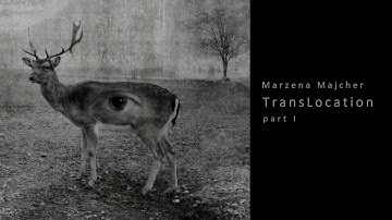 Marzena Majcher - TransLocation - part I - video